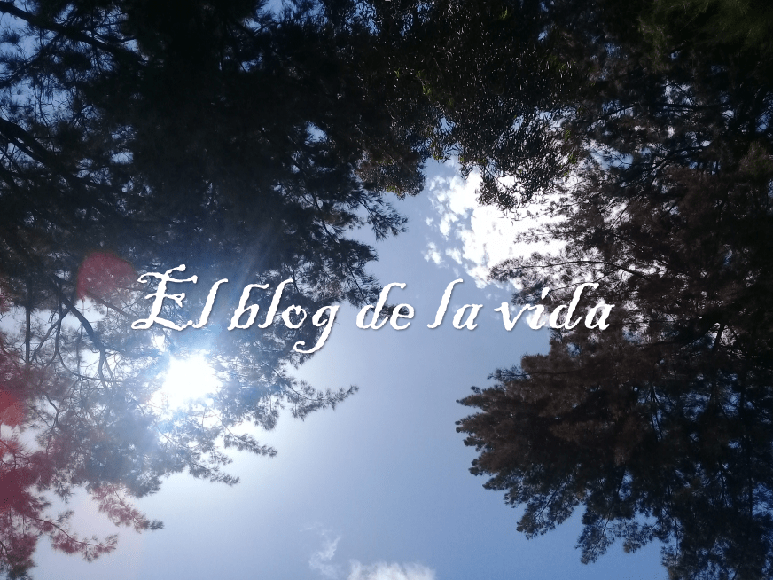 El blog de la vida